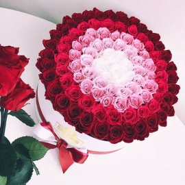 155 Roses