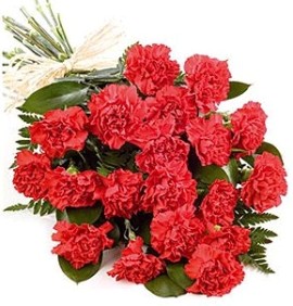 Red Carnations Bouquet