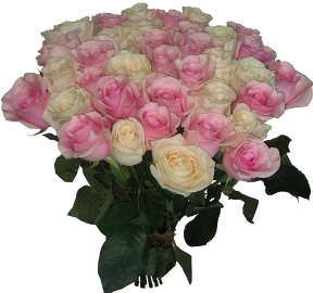 Pink & White Roses