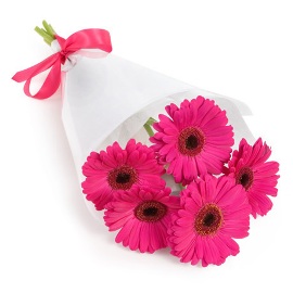 Happy Pink Gerberas