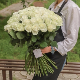 71 White Roses