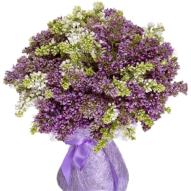 Big Bouquet of Lilacs
