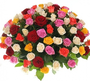 Fashionista Colorful Roses