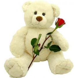 A Red Rose & Teddy Bear