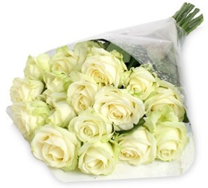 Սպիտակ հրաշալի վարդեր