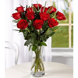 Adorable Red Roses