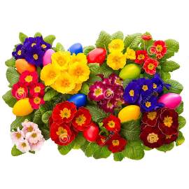 Զատկային տրամադրություն