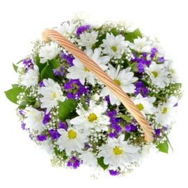 Նուրբ Ուրախություն