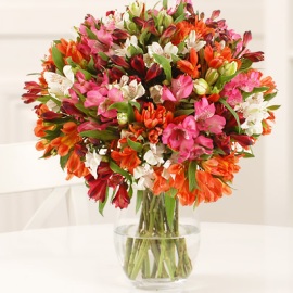 77 Colorful Blooms in Vase