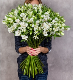 White Alstroemerias