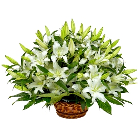 Pure Elegance Basket