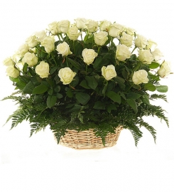 White in Basket