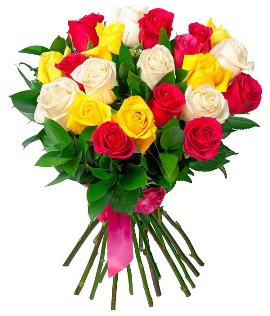 21 Colorful Roses