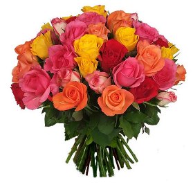 Colorful Bouquet of  Roses