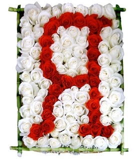 Special Letter of 155 Roses