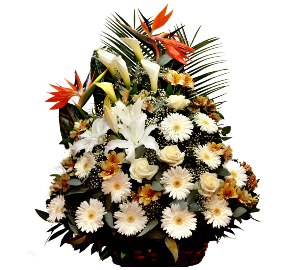 Cheerful Basket