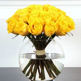 Classic Yellow Roses