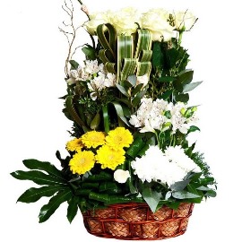 Celebration Arrangement