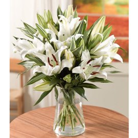 Enchanted Garden's Lilies