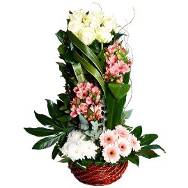 Arrangement in Basket