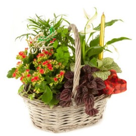 Garden Pleasures Basket