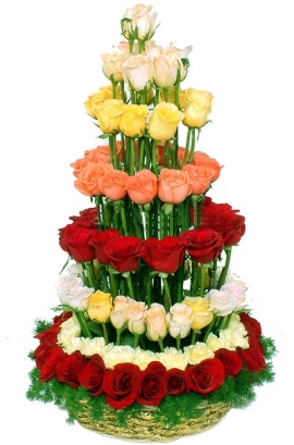 Desirable Circle of 155 Roses
