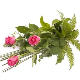 Hand Bouquet of Roses