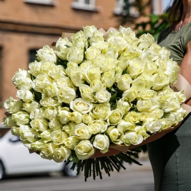 Just White Roses