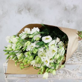 Timeless Elegance Creation
