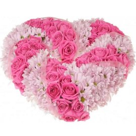 For My Fairy Queen