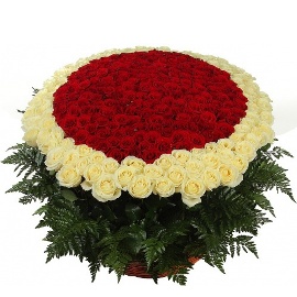 Deluxe Basket of 501 Roses