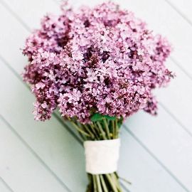 Country Lilacs