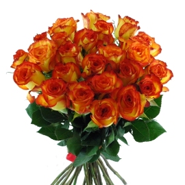 Желто-оранжевые розы