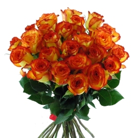 Yellow-Orange Roses