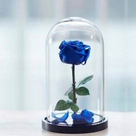 Синяя роза в колбе 