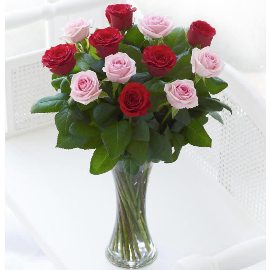 15 Red & Pink Roses