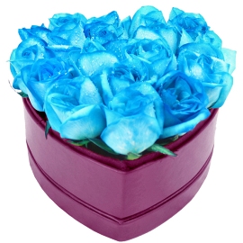 Heart in Blue