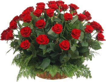 Funeral Basket of 55 Red Roses