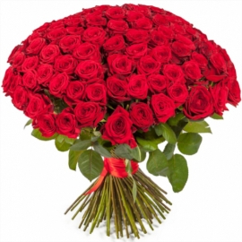 Red Charming Roses