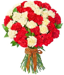 Carnations Bouquet