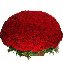 Basket of 1001 Scarlet Elegance