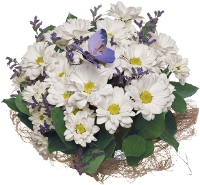 Ծաղկած մարգարտածաղիկներ