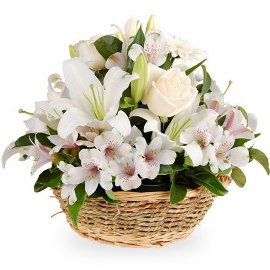 Purity