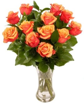 15 Peach Roses Bunch