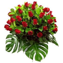 51 Wonderful Red Roses