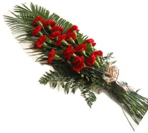 Bouquet of Red Carnations