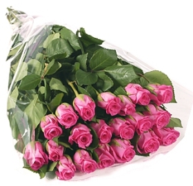 25 Отборных розовых роз