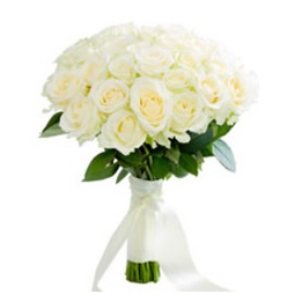Գրավիչ սպիտակ վարդեր