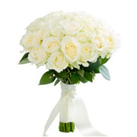 Seductive White Roses