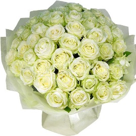 51 Extra-large White Roses